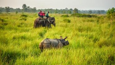 Chitwan