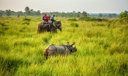 Chitwan