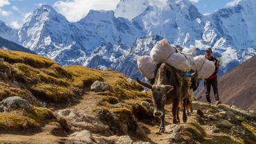 Base Camp Tours