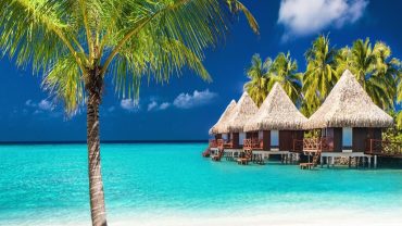 Trips Vacation